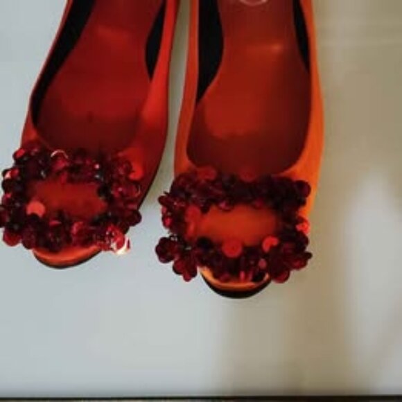 Roger Vivier  Paris  Silk Ballerina Flats Size 6.5 - Picture 1 of 6
